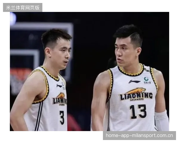 CBA江苏队外援表现稳定，季后赛期待值翻倍——全面解析江苏队的外援战力与未来潜力