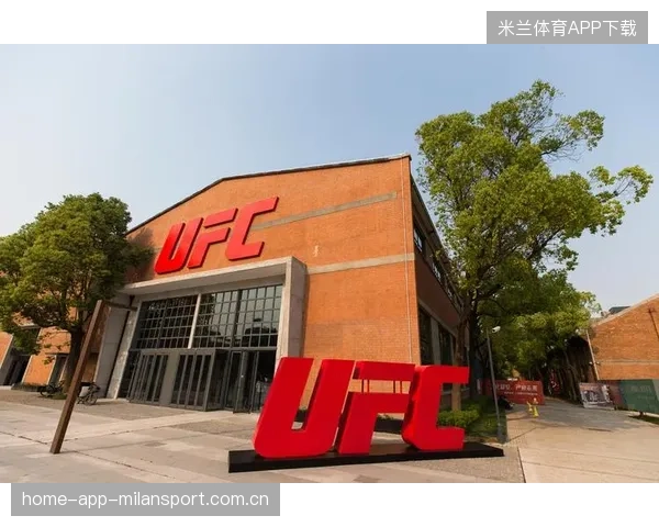 UFC多位选手提升综合耐力训练秘籍：夺取擂台制胜的核心力量